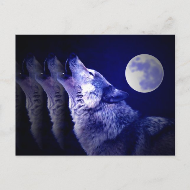 Cartão Postal Howling Wolf (Frente)
