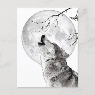 Cartão Postal Howling Wolf, Moon, Gothic, Nature