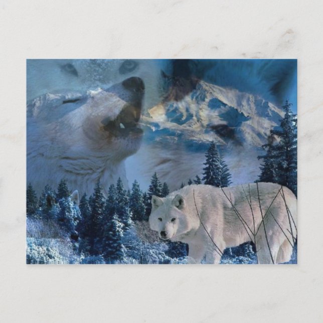Cartão Postal Howling Wolf Pack (Frente)