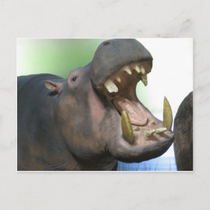 Cartão Postal Hppo