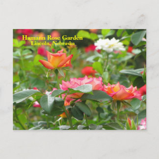 Cartão postal HRG nº 300n 0300