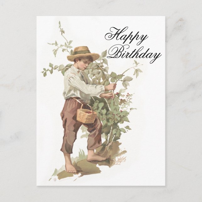 Cartão Postal Huckleberry Finn Picking Berries Aniversário (Frente)