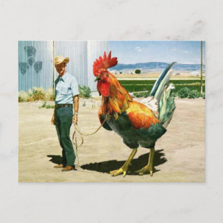 Cartão postal Huge Rooster