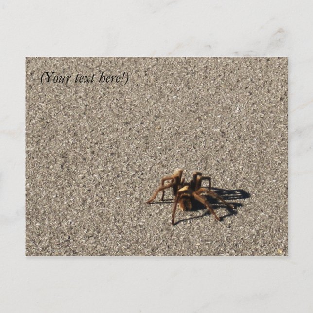 Cartão Postal HuGe sPiDeR II (Frente)
