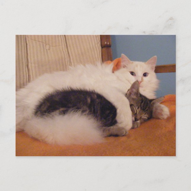 Cartão postal HugZ (Frente)