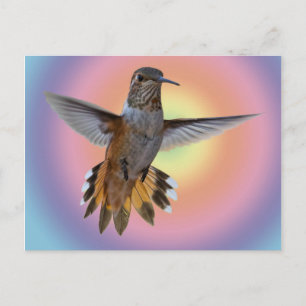 CARTÃO POSTAL HUMMINGBIRD