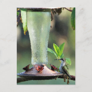 Cartão Postal Hummingbird