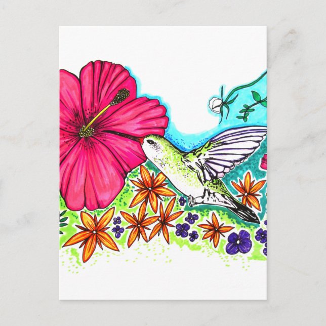 Cartão Postal Hummingbird (Frente)