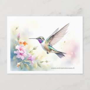 Cartão Postal Hummingbird