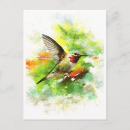 Cartão Postal Hummingbird de cauda larga