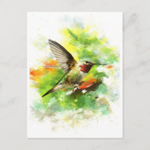 Cartão Postal Hummingbird de cauda larga