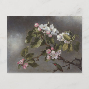 Cartão Postal Hummingbird e Apple Blossoms Martin J. Heade