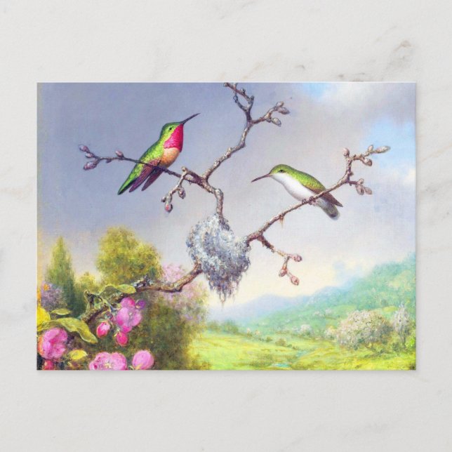 Cartão Postal Hummingbird e arte florescente  (Frente)