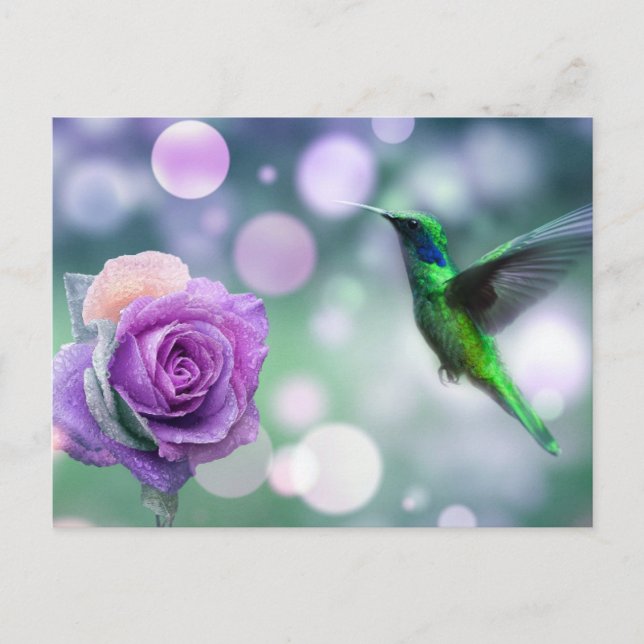 Cartão Postal Hummingbird e Rosa - Verde e rosa (Frente)