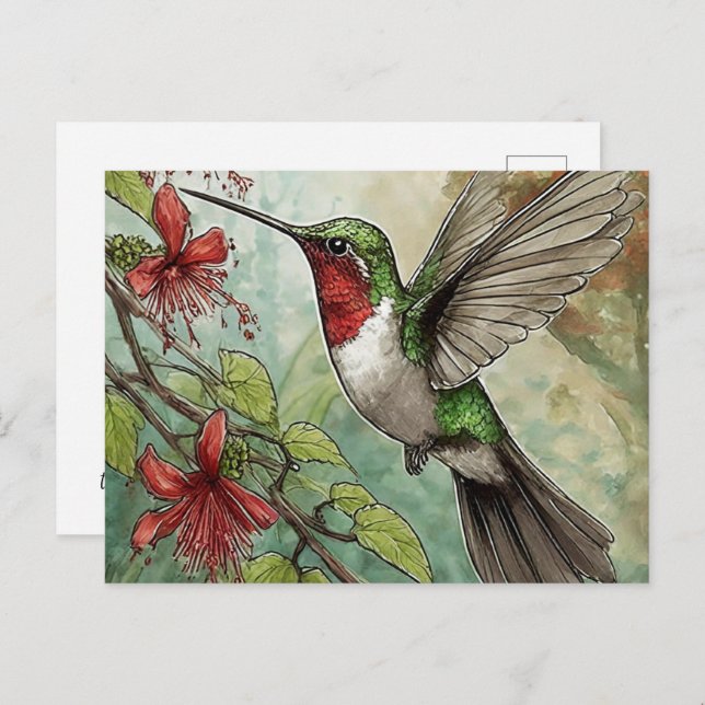 Cartão Postal Hummingbird em Voo com Vinha de Trompete Vermelha (Frente/Verso)