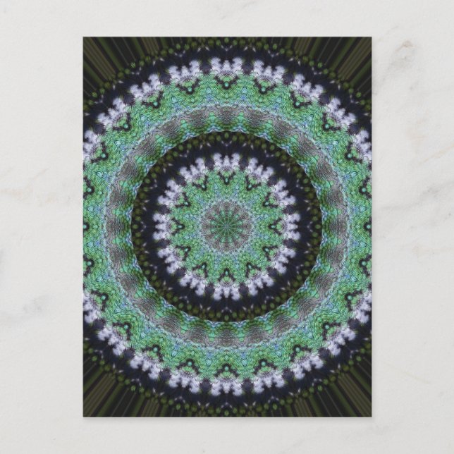 Cartão Postal Hummingbird Mandala (Frente)