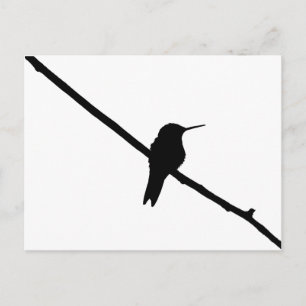 Cartão Postal Hummingbird Silhouette