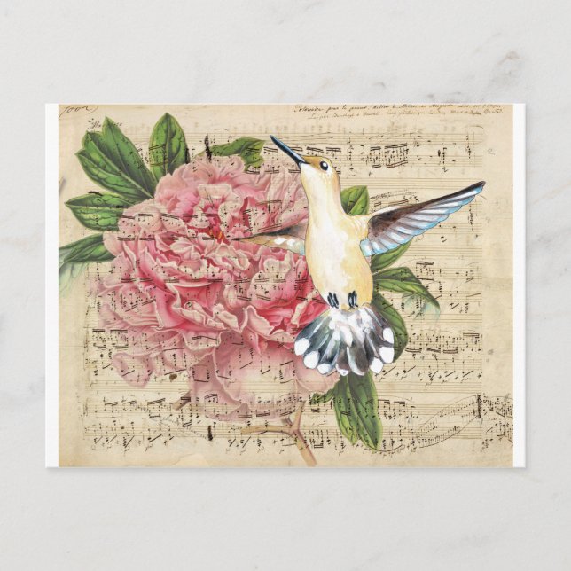Cartão Postal Hummingbird Song (Frente)