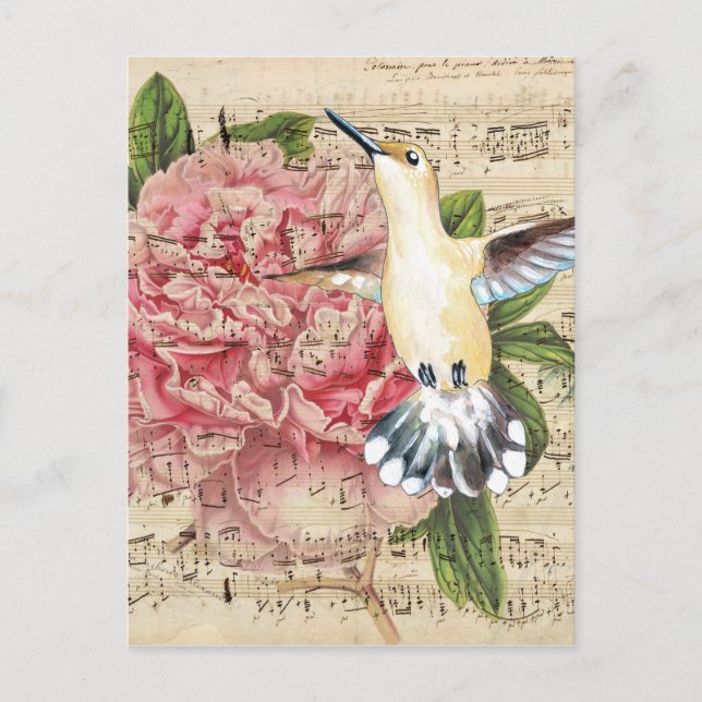 Cartão Postal Hummingbird Song (Frente)