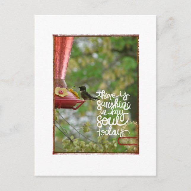 Cartão Postal Hummingbird Sunshine na minha Alma (Frente)