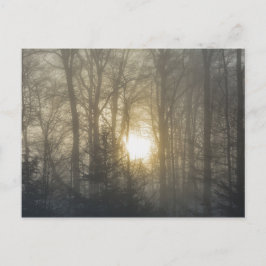 Cartão Postal Humor da Manhã