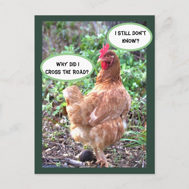 Cartão Postal Humor de Frango (Frente)