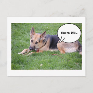 Cartão Postal Humor do german shepherd