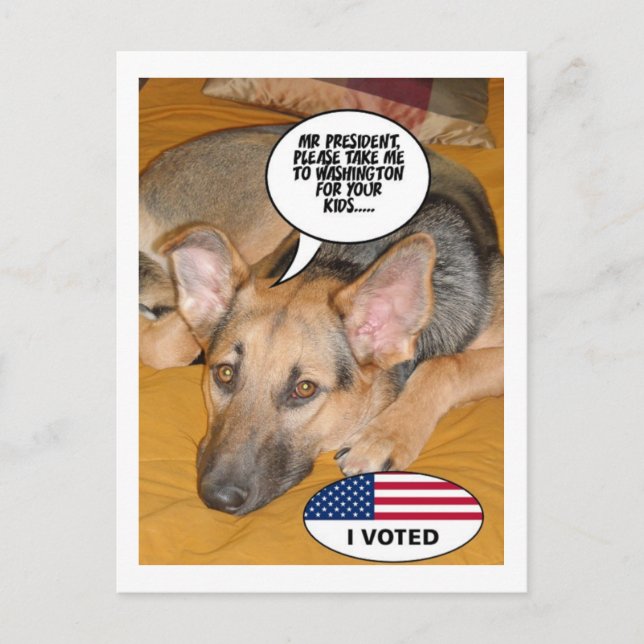 Cartão Postal Humor do german shepherd (Frente)
