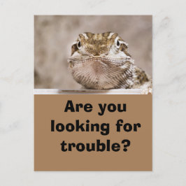 Cartão postal Humor Echse schaut herausforderand h