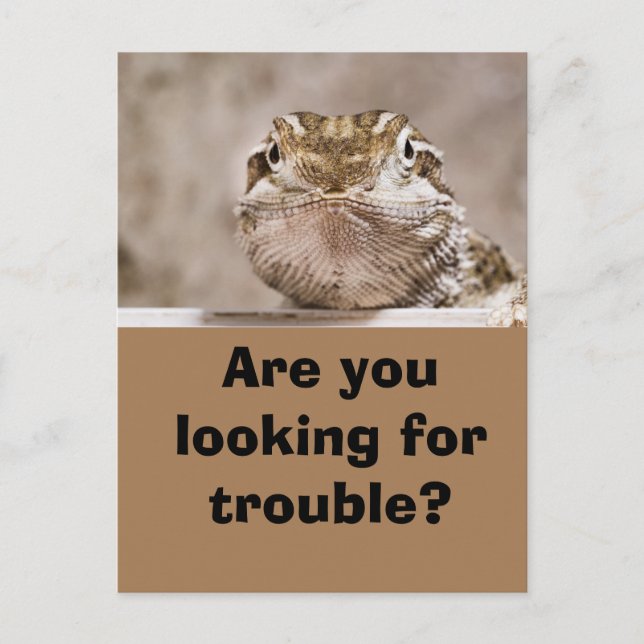 Cartão postal Humor Echse schaut herausforderand h (Frente)