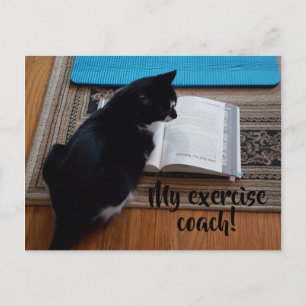 Cartão Postal Humorous Cat Exercício Treinador Foto do seu Text