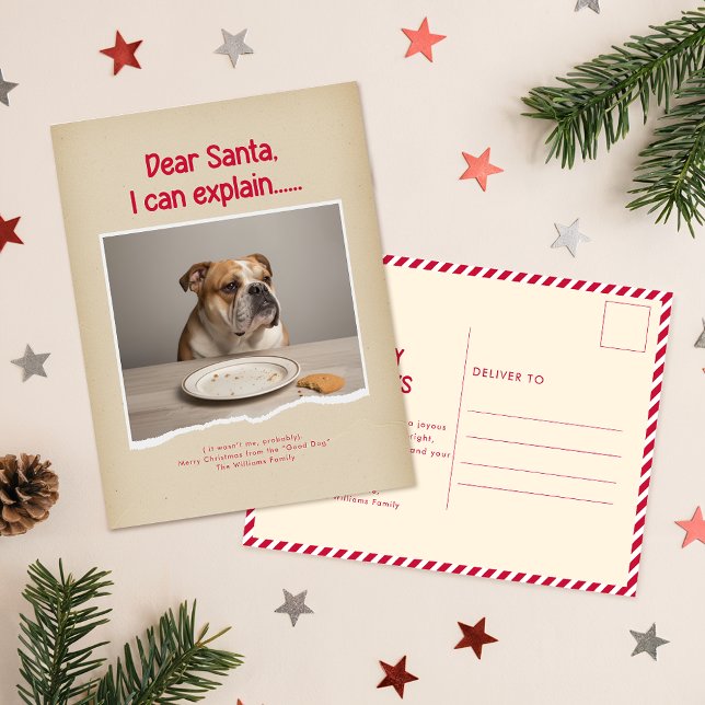 Cartão Postal Humorous Funny Dog Pet Family Christmas Postcard (Criador carregado)