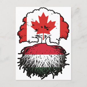 Cartão Postal Húngaro Canadense Canada Tree Roots Flag