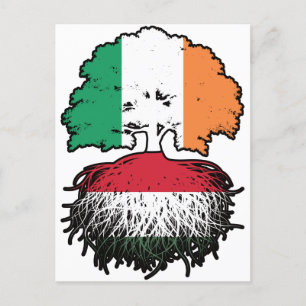 Cartão Postal Hungria Irlanda Irlanda Irlanda Árvore Bandeira