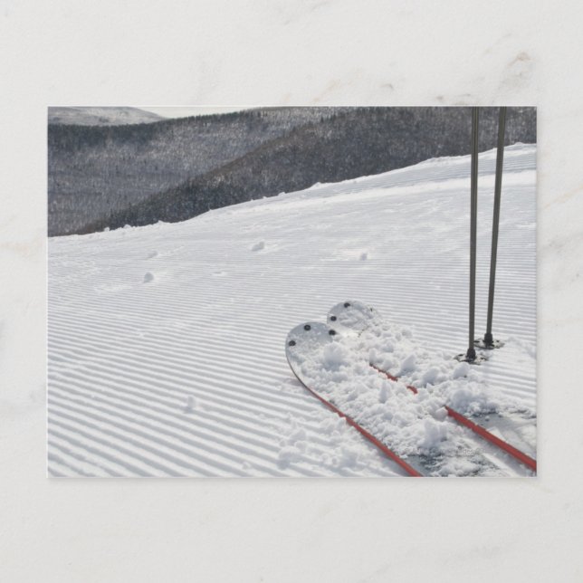 Cartão Postal Hunter (Frente)