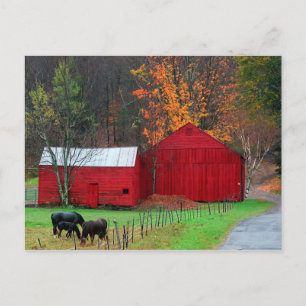 Cartão Postal Hunter Mountain