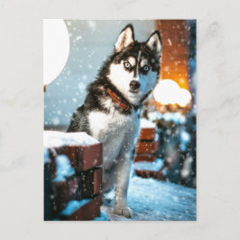 Cartão Postal Huskey Pet Dog Photoshop