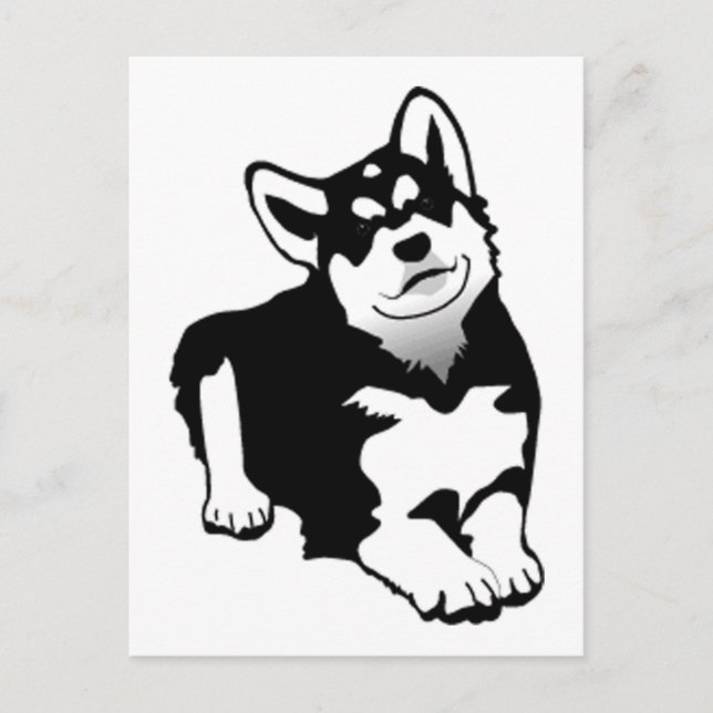 Cartão Postal Husky do Alasca (Frente)