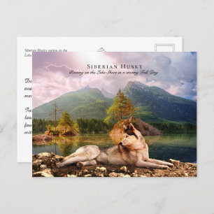 Cartão Postal Husky siberiano em Lakeshore em Fall - Colecível