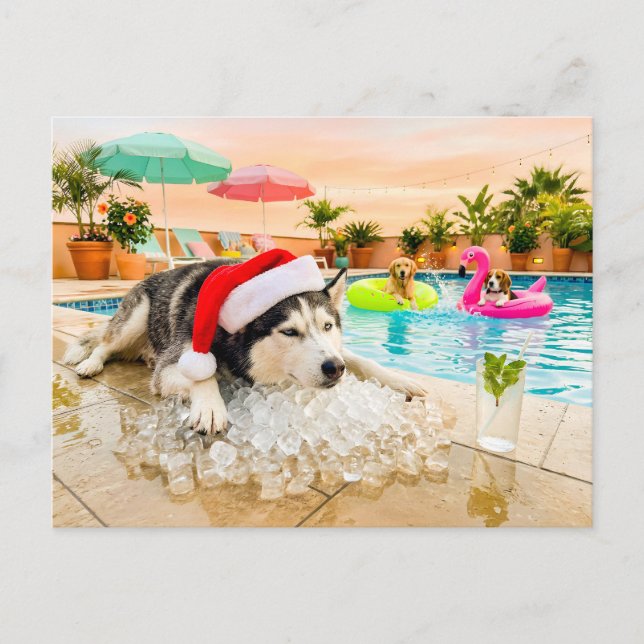 Cartão Postal Husky sobre rochas no Natal (Frente)