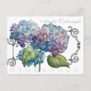Cartão Postal Hydrangea Floral Nome Monograma Azul