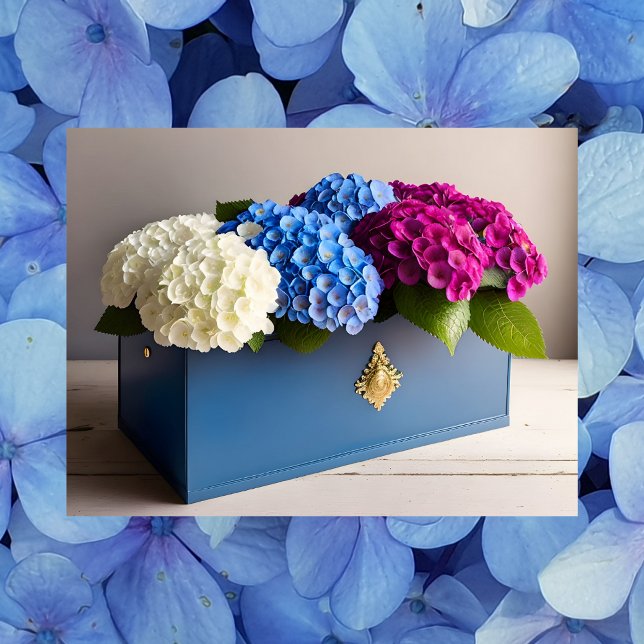 Cartão Postal Hydrangea Flowers, Cartão-postal (Criador carregado)