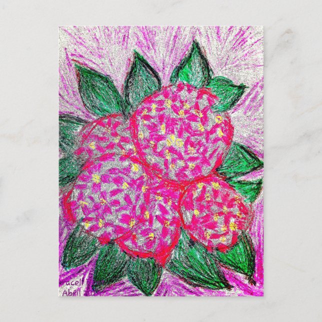 Cartão Postal Hydrangea macrophylla (Frente)