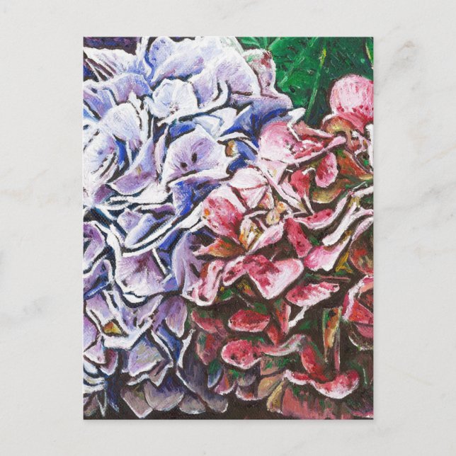 Cartão Postal Hydrangeas 2010 (Frente)