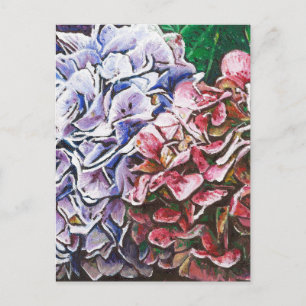 Cartão Postal Hydrangeas 2010