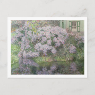 Cartão Postal Hydrangeas nas margens do rio Lys, 1898 (oi)