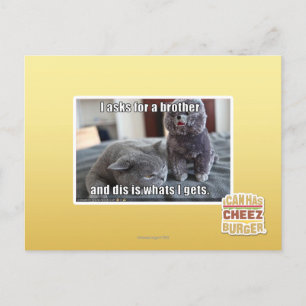 Cartão Postal I asks for a brother