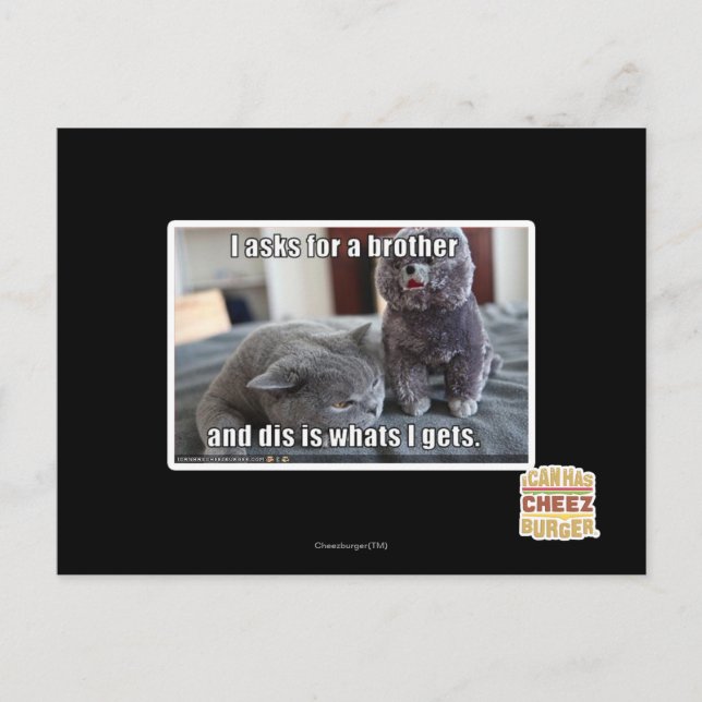 Cartão Postal I asks for a brother (Frente)