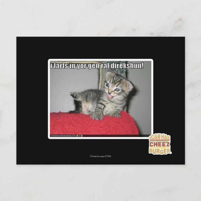 Cartão Postal I farts in yor gen'ral direkshun (Frente)