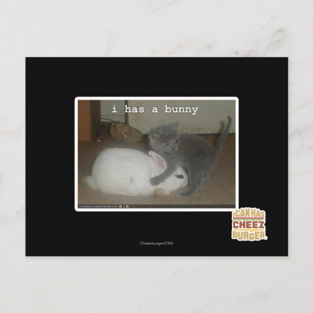 Cartão Postal I has a bunny (Frente)